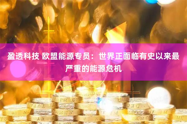 盈透科技 欧盟能源专员：世界正面临有史以来最严重的能源危机